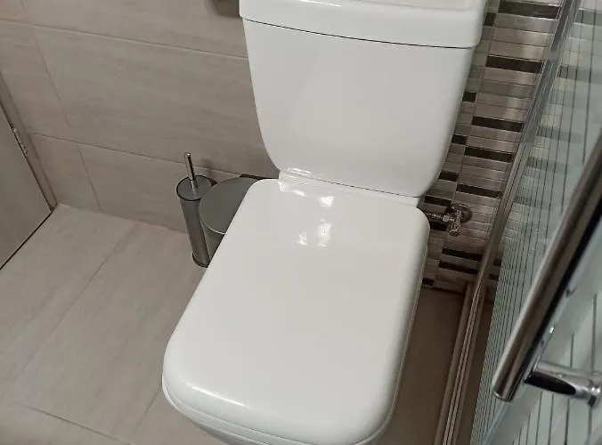 Vita Vi